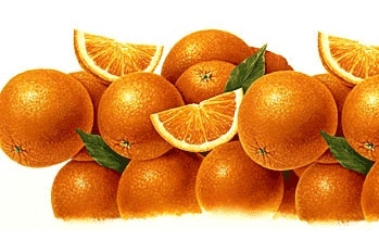 apelsiner akvarell oranges watercolour